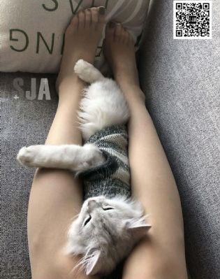 亚马逊的眼泪_720最新电影在线观看