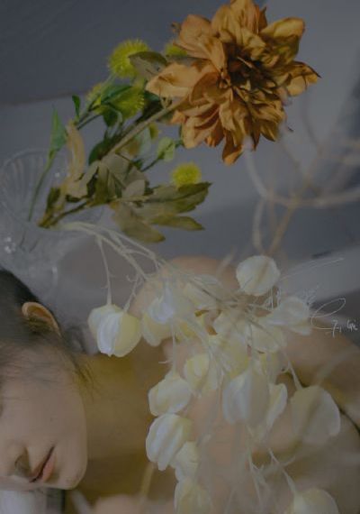 菲律宾电影在线播放_高清手机在线观看